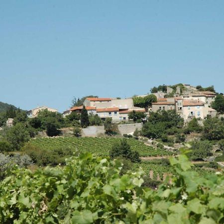 Cecile Villa Montgaillard  Exterior photo